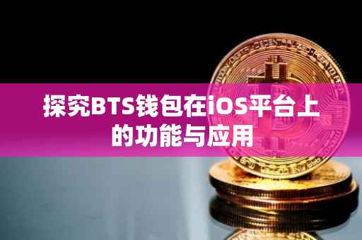探究BTS钱包在iOS平台上的功能与应用