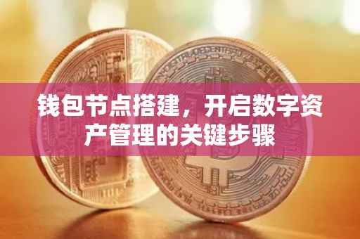 钱包节点搭建，开启数字资产管理的关键步骤