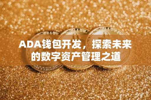 ADA钱包开发,探索未来的数字资产管理之道
