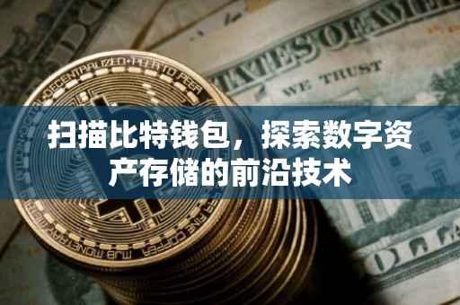 扫描比特钱包,探索数字资产存储的前沿技术