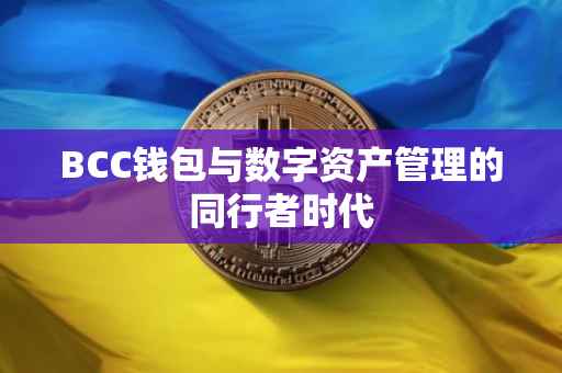 BCC钱包与数字资产管理的同行者时代