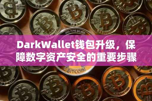 DarkWallet钱包升级，保障数字资产安全的重要步骤