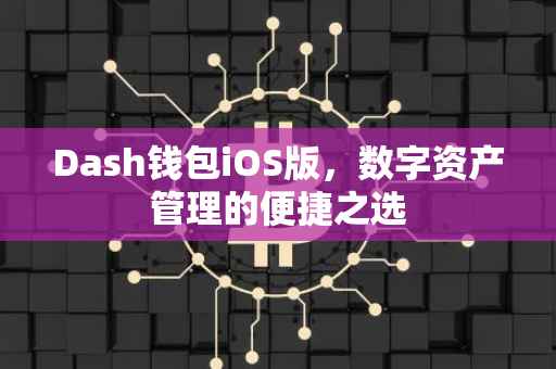 Dash钱包iOS版，数字资产管理的便捷之选