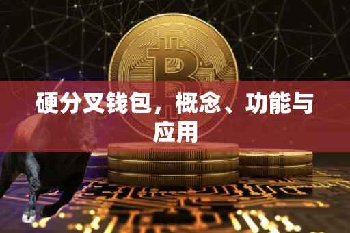 硬分叉钱包，概念、功能与应用