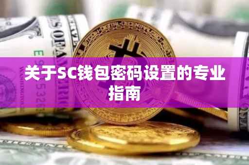 关于SC钱包密码设置的专业指南