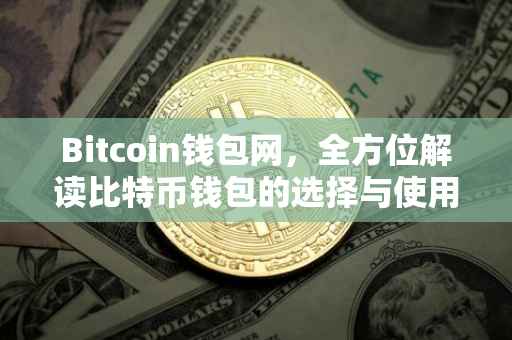 Bitcoin钱包网，全方位解读比特币钱包的选择与使用