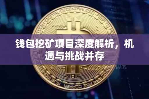 钱包挖矿项目深度解析,机遇与挑战并存