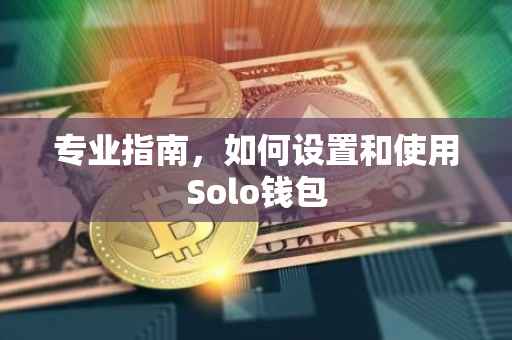专业指南,如何设置和使用Solo钱包