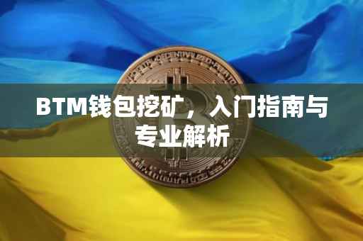 BTM钱包挖矿，入门指南与专业解析