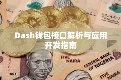 Dash钱包接口解析与应用开发指南