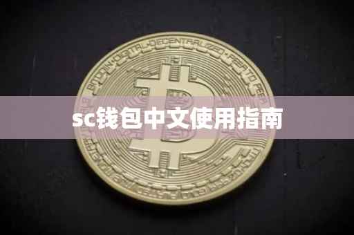 sc钱包中文使用指南