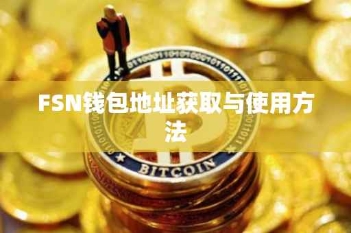FSN钱包地址获取与使用方法
