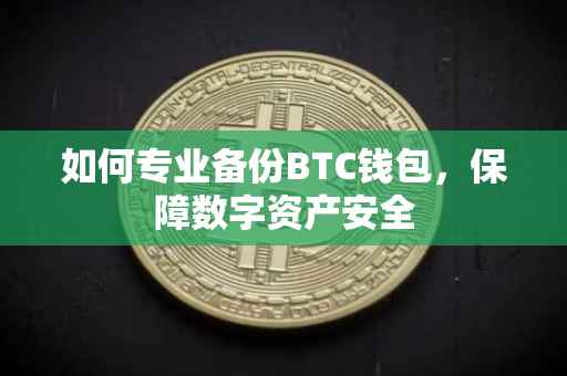 如何专业备份BTC钱包，保障数字资产安全