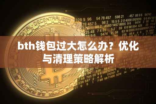 bth钱包过大怎么办？优化与清理策略解析