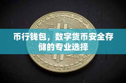 币行钱包，数字货币安全存储的专业选择