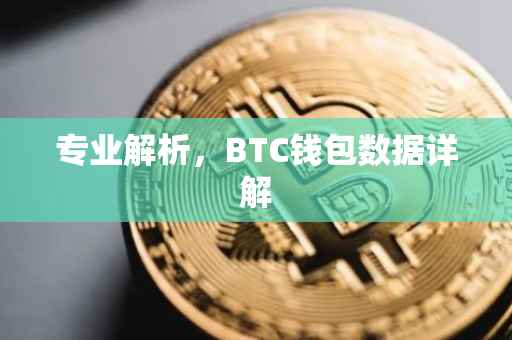 专业解析，BTC钱包数据详解