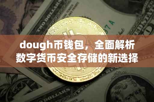 dough币钱包,全面解析数字货币安全存储的新选择
