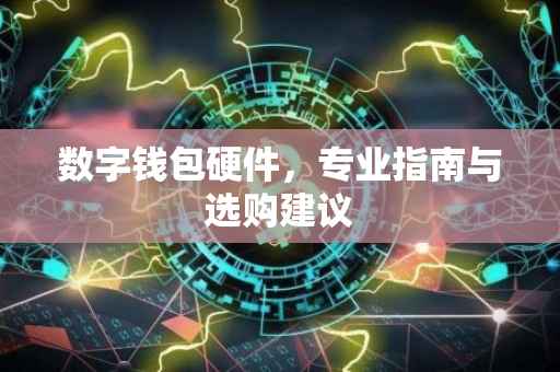 数字钱包硬件,专业指南与选购建议