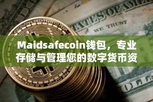 Maidsafecoin钱包，专业存储与管理您的数字货币资产