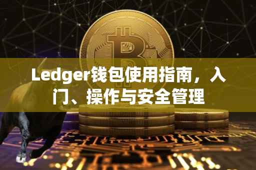 Ledger钱包使用指南，入门、操作与安全管理