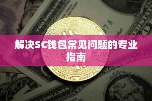 解决SC钱包常见问题的专业指南