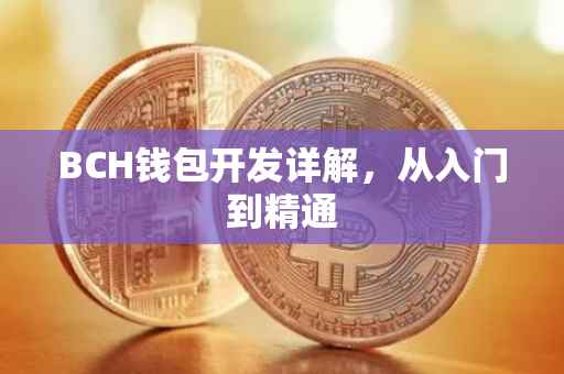 BCH钱包开发详解，从入门到精通