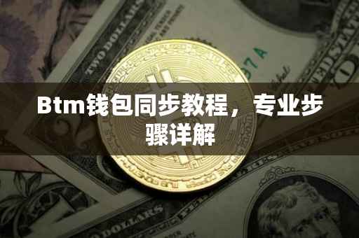 Btm钱包同步教程，专业步骤详解