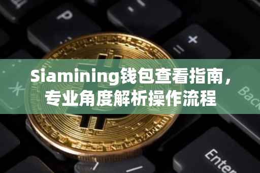 Siamining钱包查看指南，专业角度解析操作流程