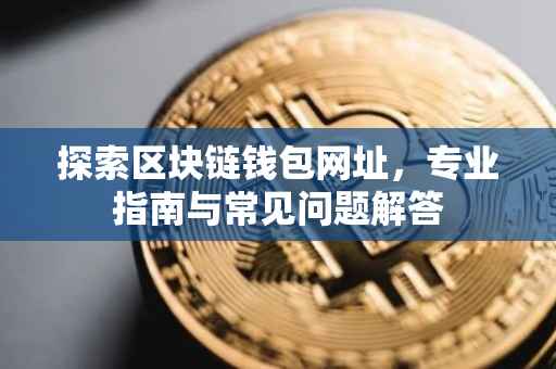 探索区块链钱包网址，专业指南与常见问题解答