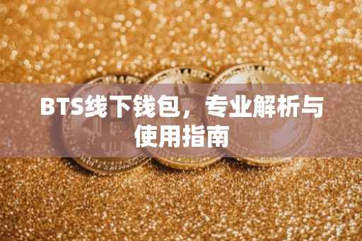 BTS线下钱包，专业解析与使用指南