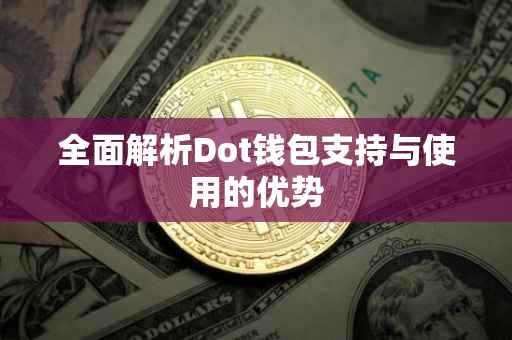 全面解析Dot钱包支持与使用的优势