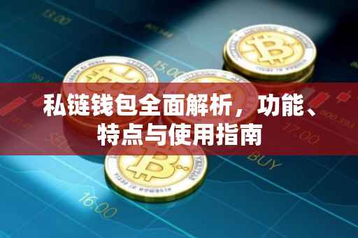 私链钱包全面解析,功能、特点与使用指南