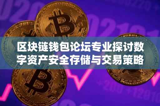 区块链钱包论坛专业探讨数字资产安全存储与交易策略