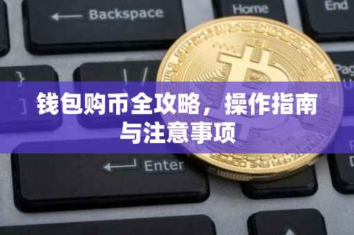 钱包购币全攻略，操作指南与注意事项
