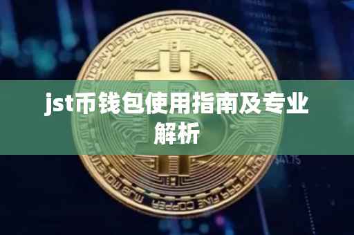 jst币钱包使用指南及专业解析