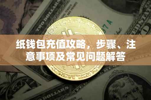 纸钱包充值攻略，步骤、注意事项及常见问题解答