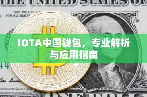 IOTA中国钱包，专业解析与应用指南