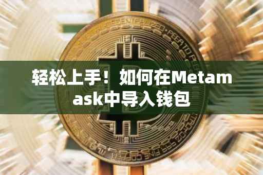 轻松上手！如何在Metamask中导入钱包
