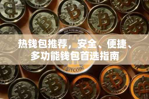 热钱包推荐，安全、便捷、多功能钱包首选指南