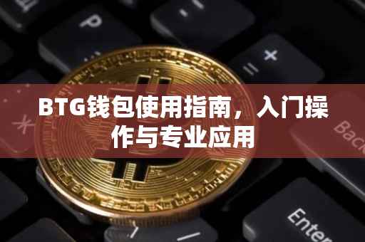 BTG钱包使用指南，入门操作与专业应用