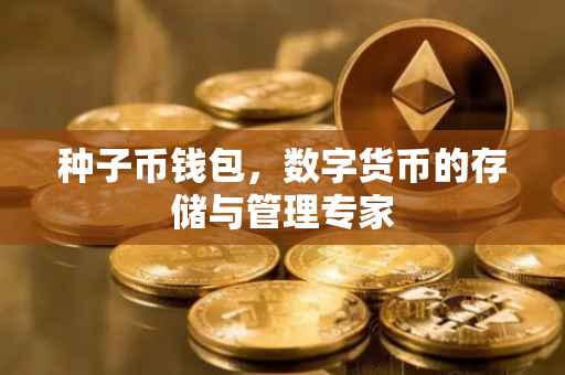 种子币钱包，数字货币的存储与管理专家