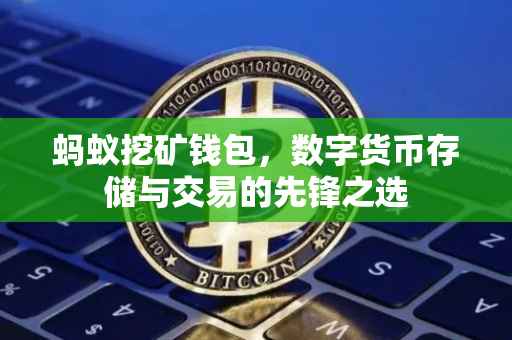 蚂蚁挖矿钱包，数字货币存储与交易的先锋之选