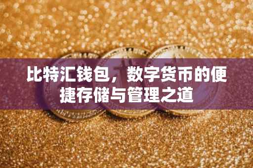 比特汇钱包，数字货币的便捷存储与管理之道