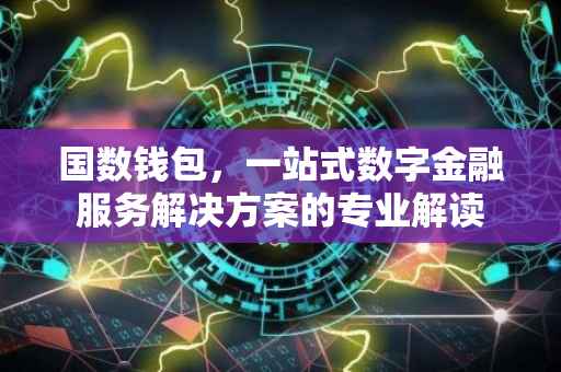 国数钱包，一站式数字金融服务解决方案的专业解读