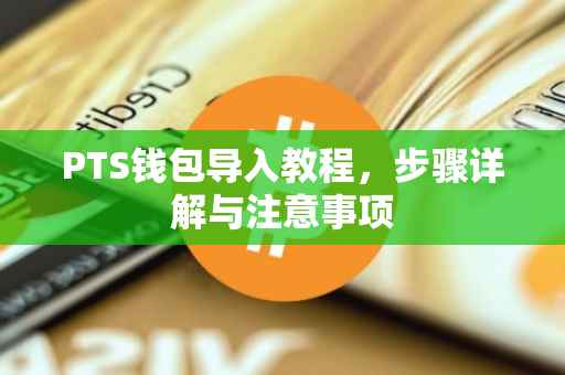 PTS钱包导入教程，步骤详解与注意事项