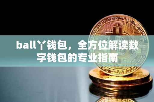 ball丫钱包，全方位解读数字钱包的专业指南