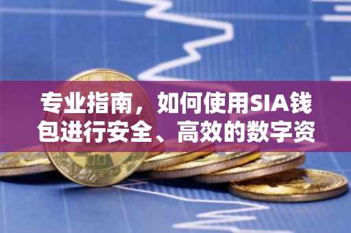 专业指南，如何使用SIA钱包进行安全、高效的数字资产管理