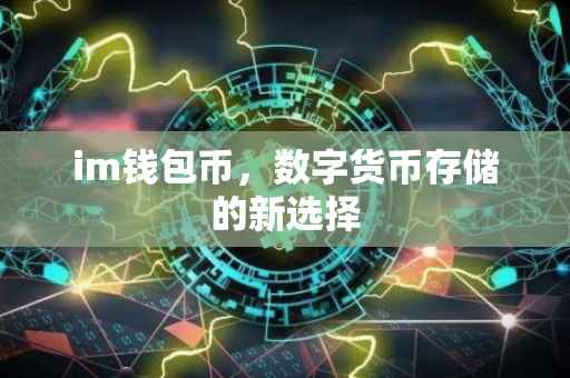 im钱包币，数字货币存储的新选择