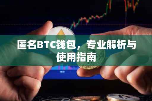 匿名BTC钱包，专业解析与使用指南