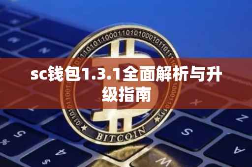 sc钱包1.3.1全面解析与升级指南